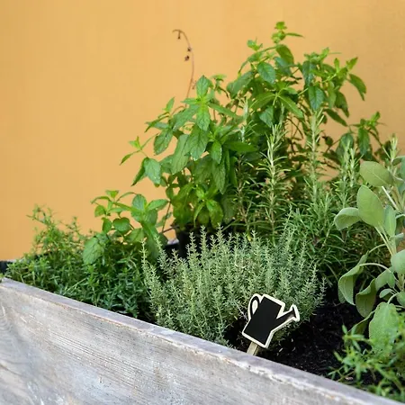 Residenza La Zagara *