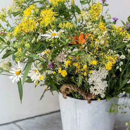 Appartement Residenza La Zagara Cannero Riviera