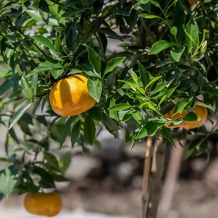 Appartement Residenza La Zagara *