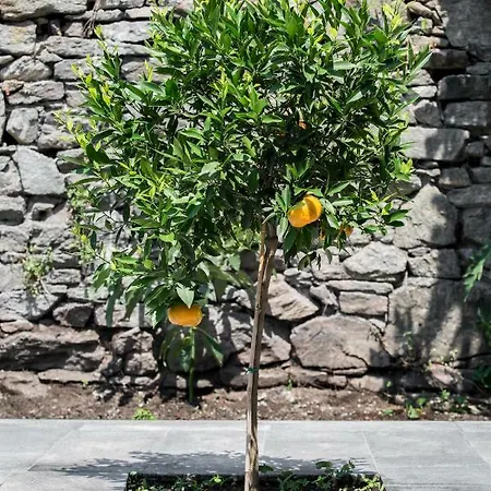 Residenza La Zagara