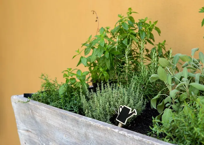 Residenza La Zagara *