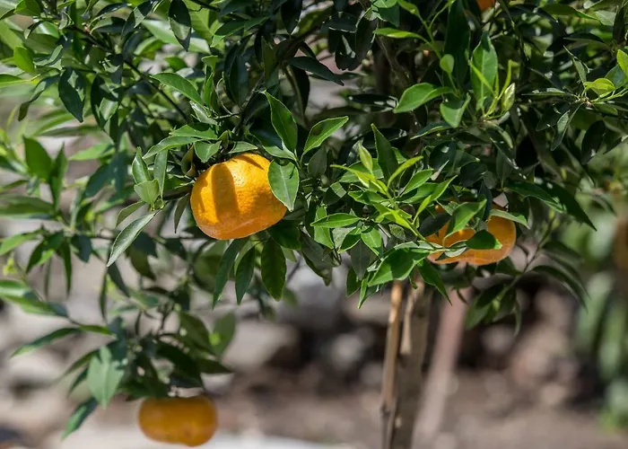 Appartement Residenza La Zagara *